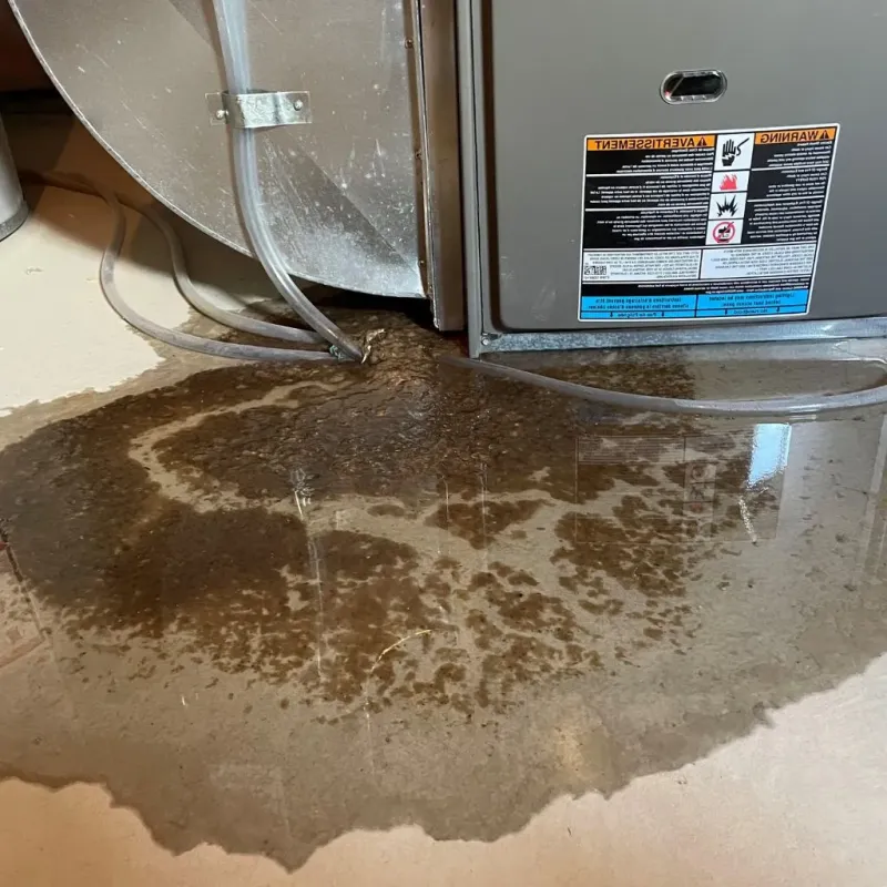 Pipe Burst and Leak Restoration in Williamsville, NY